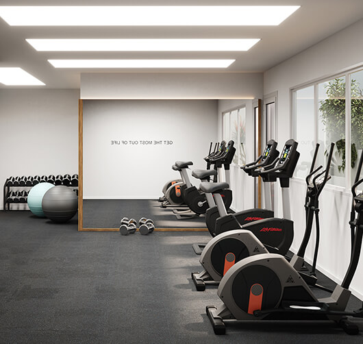 15gimnasio